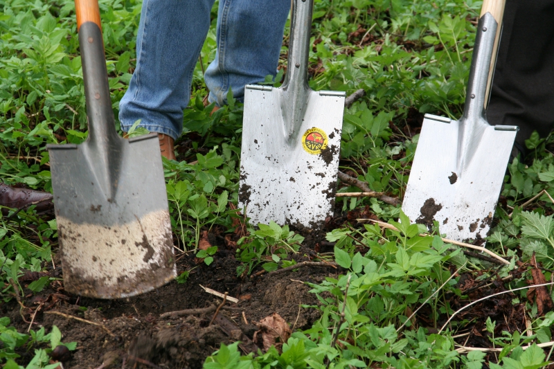 pepiniere-REGUSSE-min_work-lawn-flower-tool-green-backyard-1103633-pxhere.com